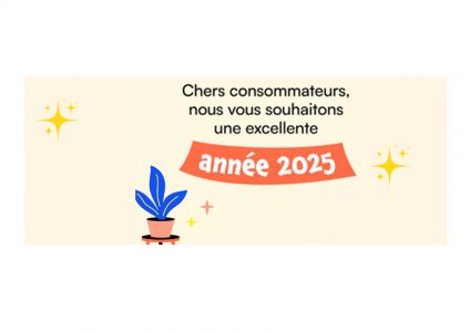 Meilleurs-voeux-2025