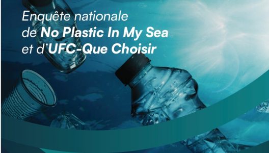 no-plastic-in-the-sea