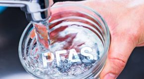 PFAS dans l’eau potable
