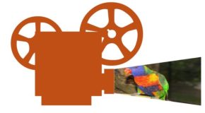 Résultats de notre enquête sur les tarifs des cinémas