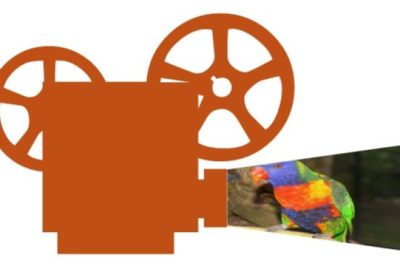 Résultats de notre enquête sur les tarifs des cinémas